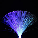 LED Fiber Optic Lamp