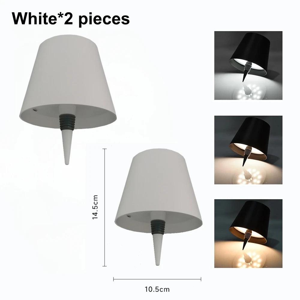 Wireless LED Wine Bottle