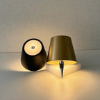 Wireless LED Wine Bottle