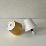 Wireless LED Wine Bottle