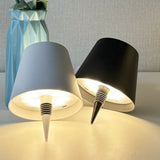 Wireless LED Wine Bottle